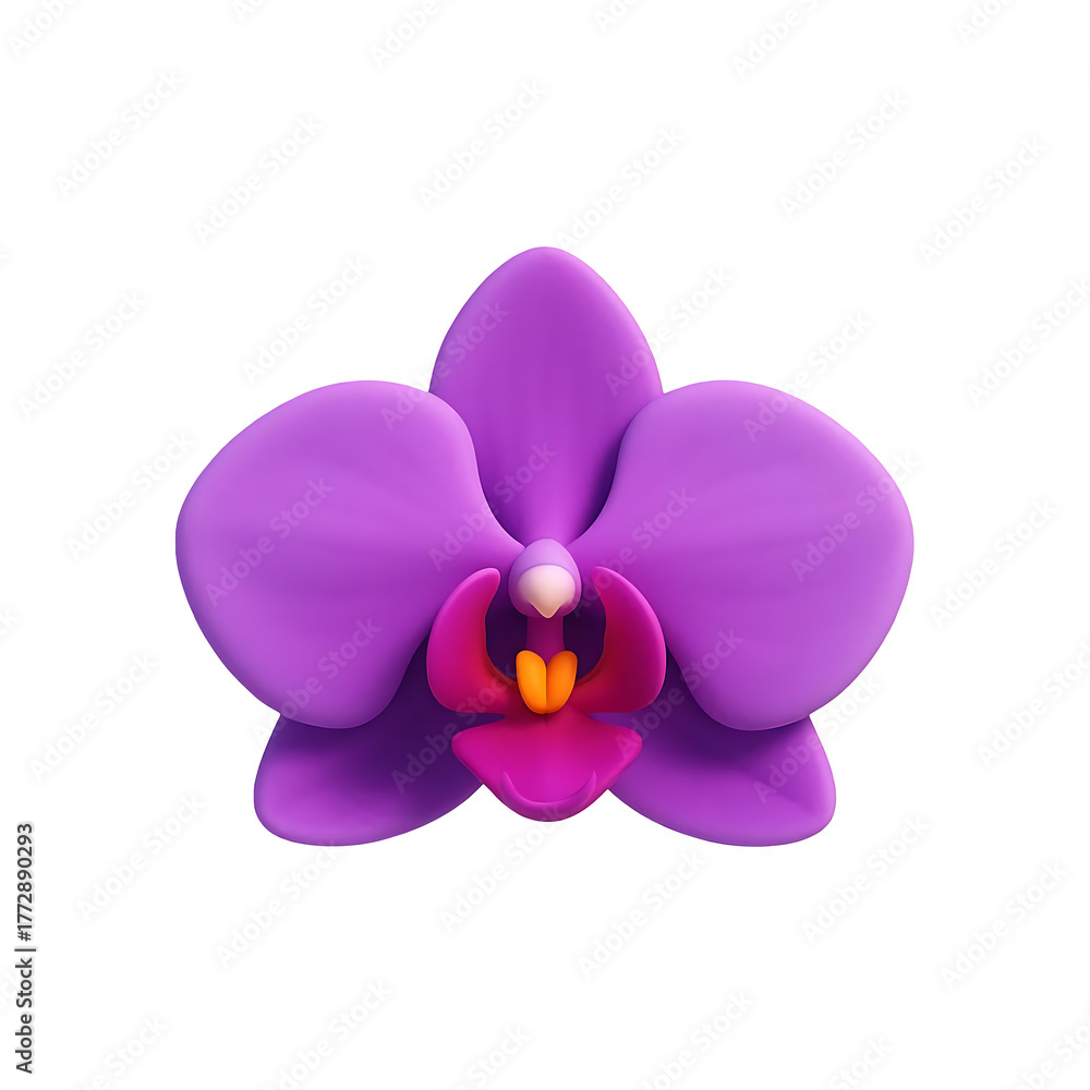 Fototapeta premium Vibrant purple orchid flower isolated on solid surface