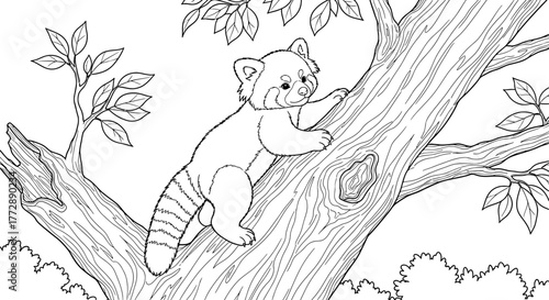 Red Panda Climbing Tree - Coloring Page Illustration