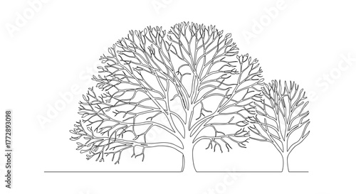 Outline of two trees with intricate branches on white background