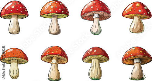 Illustration of amanita muscaria mushrooms, a group of people, and plant life