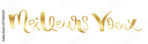 MEILLEURS VOEUX (HAPPY NEW YEAR in French) metallic gold brush calligraphy banner on transparent background