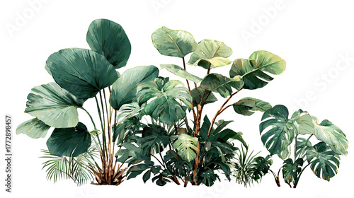 Lush tropical foliage with large green leaves and dark stems against a black background