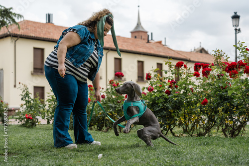 Woman playing with her weimaraner puppy in a rose garden