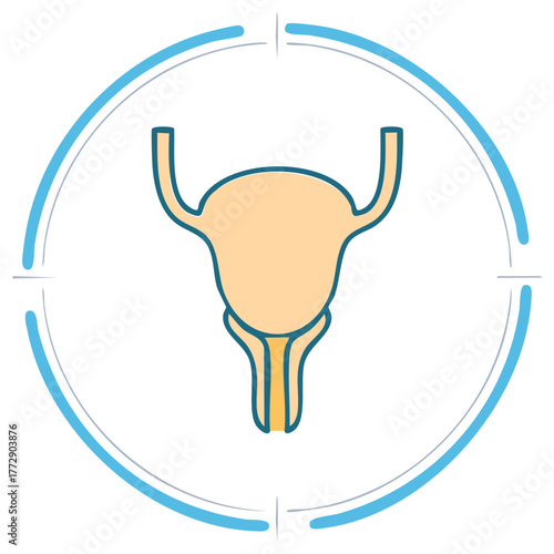 Female reproductive system within circular frame, uterine health illustration