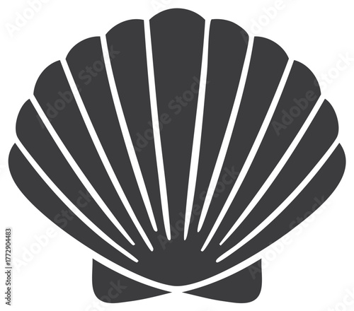 Stylized dark grey seashell silhouette with radiating lines