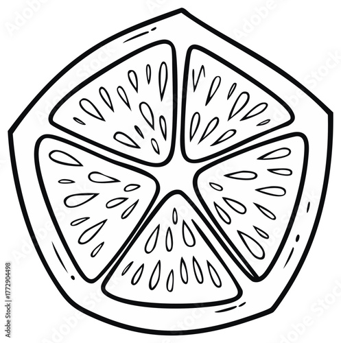 Outline drawing of a fresh citrus fruit slice with inner pulp design