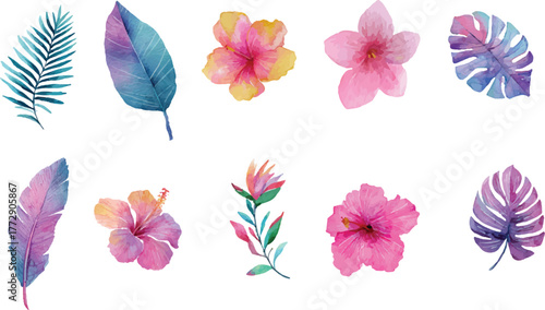 set of flowers and leaves