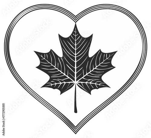 Stylized maple leaf illustration within a multi lined heart shape design black and white graphic symbol