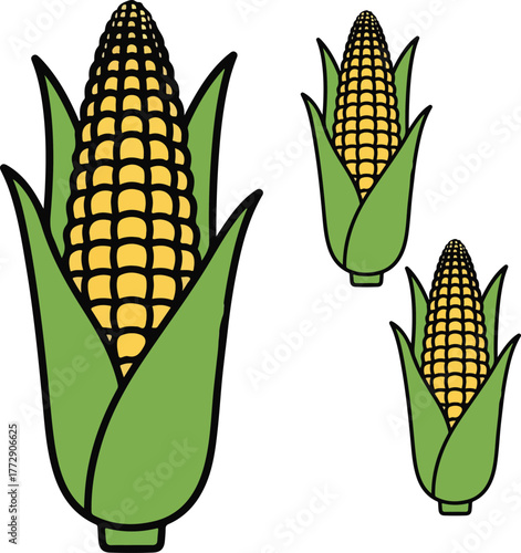 Simple outline drawing of a fresh corn cob with green husks and yellow kernels
