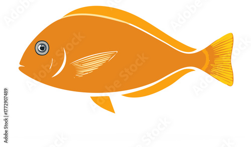 Orange Fish Illustration Swimming Underwater Wildlife Sea Fauna Artwork
