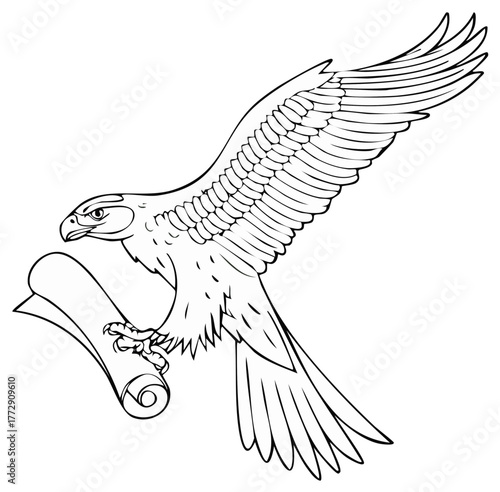 Flying eagle holding scroll, black and white line art, medieval messenger, bird of prey drawing