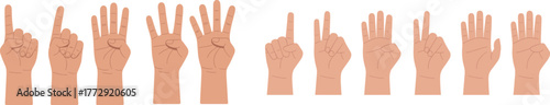 Hands Counting Numbers One to Five and Finger Gestures Flat Vector Set