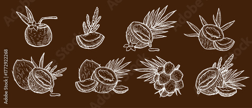Outline white line art vector illustrations of coconuts, coco branches and cocktail on dark brown background. Can used for wrapping, textile, fabric, food background.