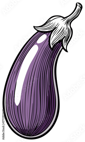 Vector Illustration of an Eggplant with Textured Details and White Highlights, Showing the Vegetable's Natural Shape