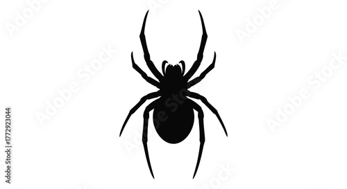 A stark black silhouette of a spider with eight long legs and a distinct body shape on a pure white background silhouette