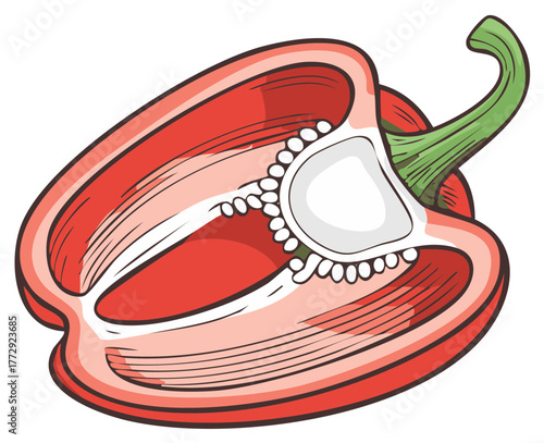 Red bell pepper cut in half showing seeds and stem, illustration style.