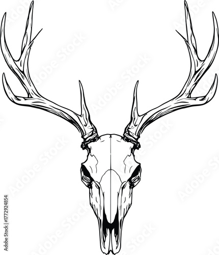 Front-Facing Black and White Illustration of a Deer Skull with Large Branching Antlers Emphasizing Anatomical Detail and Symbolic Wilderness Design