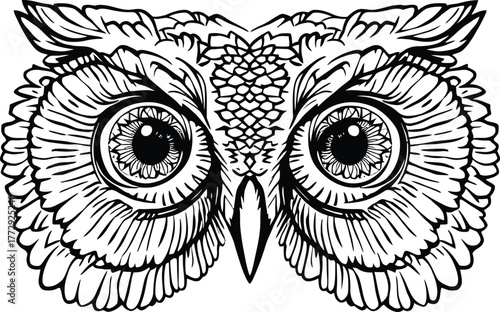 Black and white vector illustration of owl face with symmetrical eyes sharp beak and intricate feather detail in stylized design