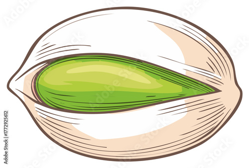 Fresh Green Pistachio Nut in Cracked Shell Illustration