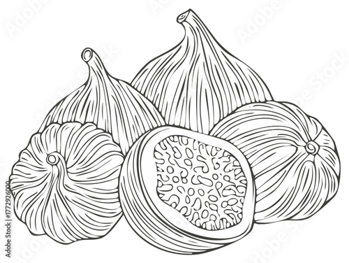Ink drawing of fresh figs, whole and sliced, with detailed lines and textures.