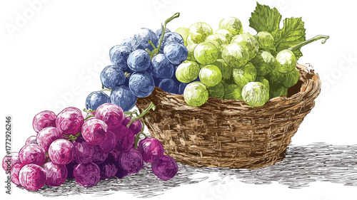 basket with grapes