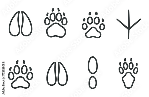 Various animal footprints on dark background