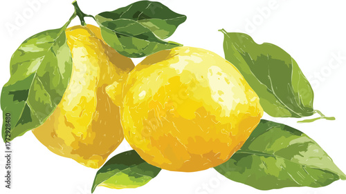 Vibrant Bright Lemon with Yellow Skin and Green Leaf Vector Illustration