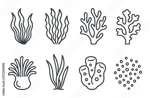 Abstract seaweed and coral pattern with subtle gradient