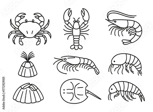 Marine crustacean icons: crab, lobster, shrimp, and shellfish illustrations