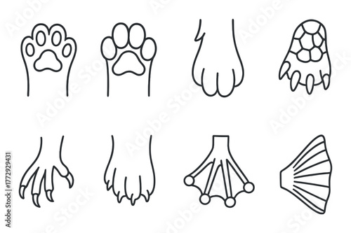 Illustration of diverse animal paw and footprints on a dark background