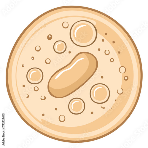 Simple cartoon illustration of microorganisms bacteria and microscopic cells biology concept