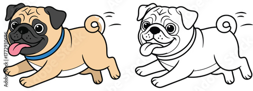 Joyful Running Pug Dog Cartoon Vector Illustration. Cute fawn puppy jogging with tongue out, showing happiness. Includes black line art coloring page.