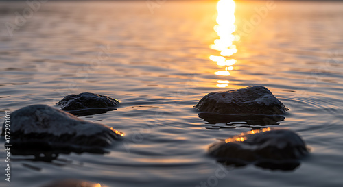 Fototapeta Naklejka Na Ścianę i Meble -  Smooth stones in calm water at sunset rocks golden hour