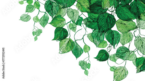 Lush Green Tropical Plant Background with Vibrant Climbing Liana Vine