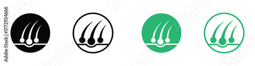 Detailed epiderm skin hair follicle icon set, hair follicle with stars around it and skin layers icons, vector illustration.