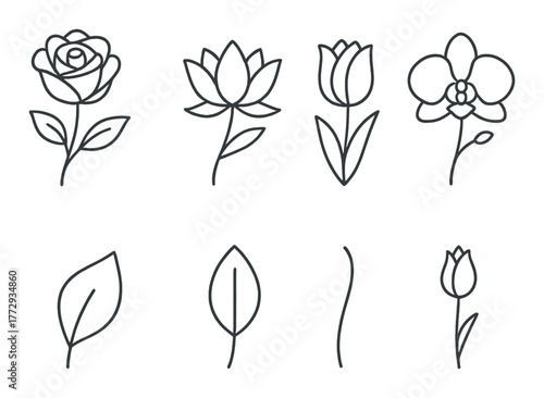 Minimalistic floral and leaf line art on dark background