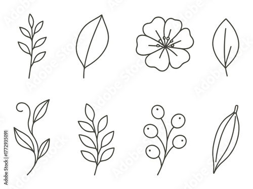 Minimalist botanical line art on gradient background