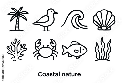 Coastal nature icons: palm, bird, wave, shell, coral, crab, fish, seaweed