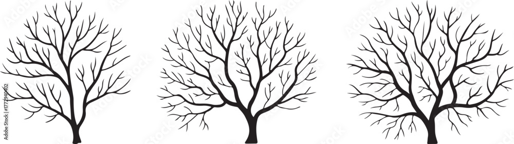 Fototapeta premium Set of Silhouette Bare Trees Perfect for Winter Season Illustrations and Spooky Backgrounds with Branches in Monochrome Graphic Style for Print