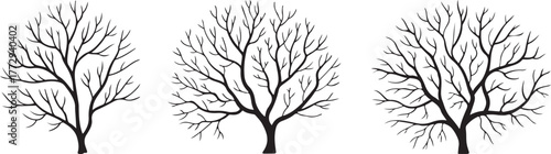 Set of Silhouette Bare Trees Perfect for Winter Season Illustrations and Spooky Backgrounds with Branches in Monochrome Graphic Style for Print