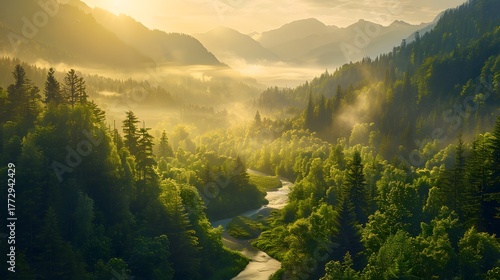 Majestic mountain valley with green forest and river glowing under golden sunlight