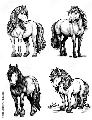 Vintage Style Horse Sketches Set Black And