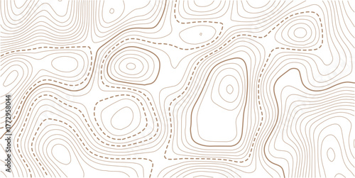 Topographic line contour map background, geographic grid map, stock vector illustration.Abstract topo contour map on white background, Topographic map Topographic contour lines map seamless pattern