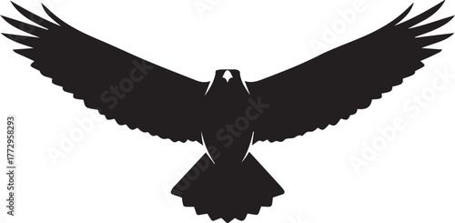Majestic eagle silhouette in flight with wings spread wide majestic bird of prey overhead