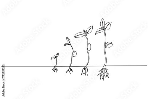 Minimalist vector sketch of the stages of plant development and roots