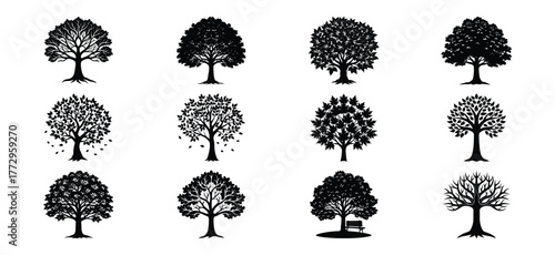 Collection of twelve detailed black silhouette illustrations of different tree varieties and styles