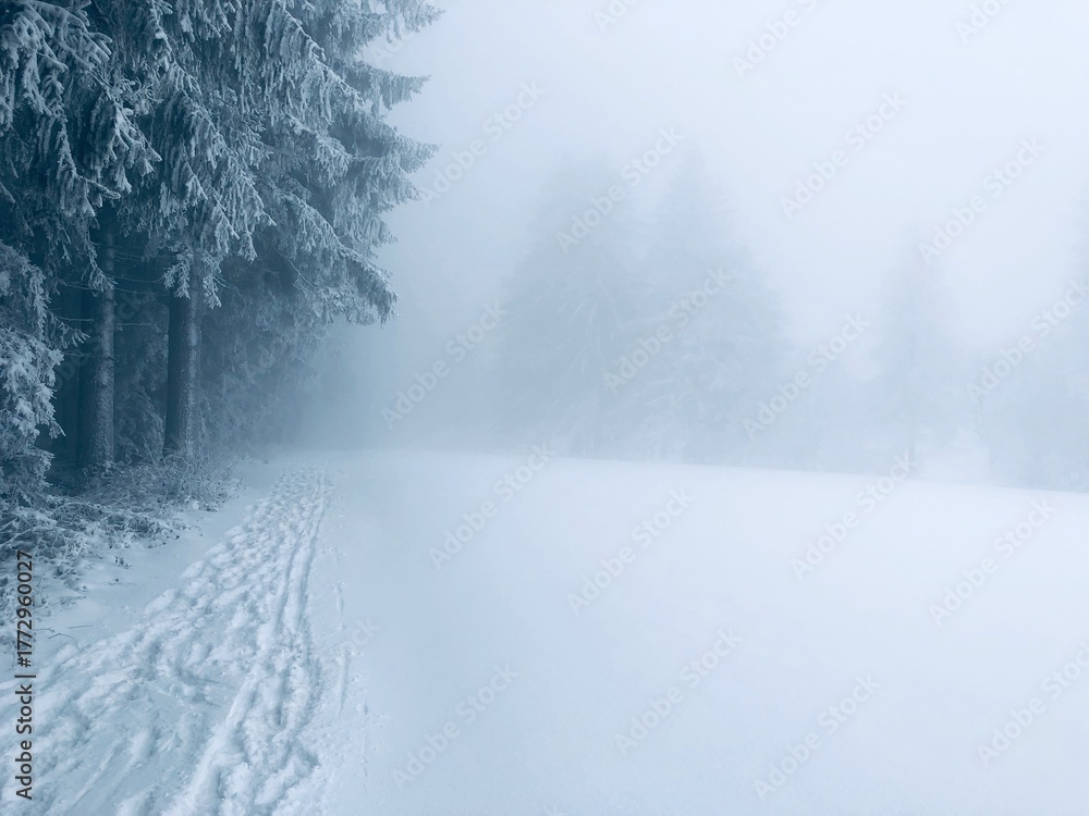 Obraz premium Foggy winter landscape with snow-covered trees