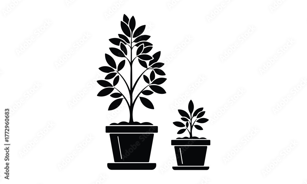 Obraz premium Potted plant icons tall tree, small plant