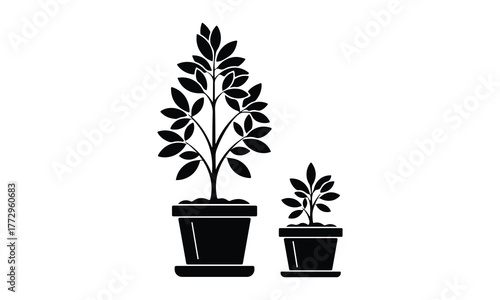 Potted plant icons tall tree, small plant