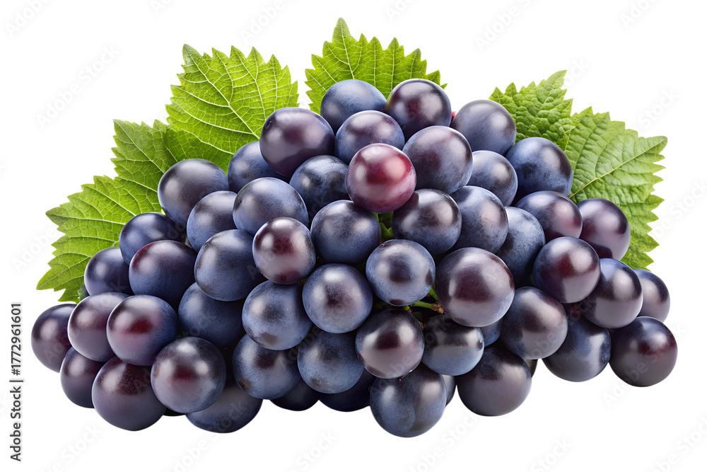 Fototapeta premium black grapes isolated on transparent white background full depth of field clipping path